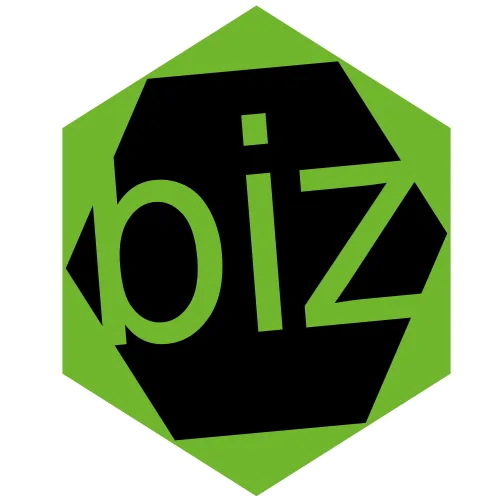 BIZ Marketing Digital Logo