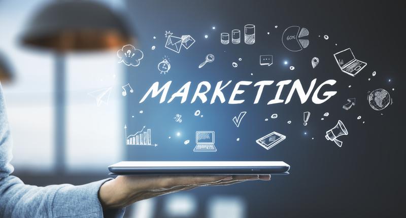 Web Marketing Sindelfingen