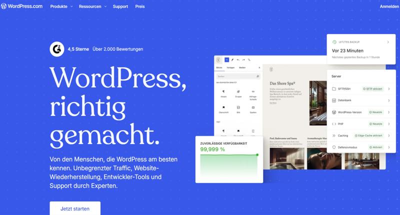 SEO mit WordPress vs. Squarespace – Welches System ist besser für Deine Sichtbarkeit? 2 WordPress Startseite